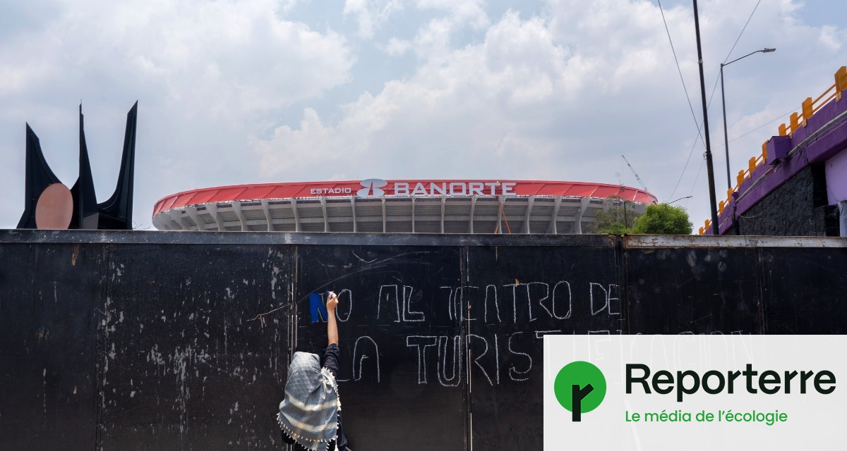 « Nettoyage social » et « pillage » de Coca-Cola : la réalité du Mondial au Mexique