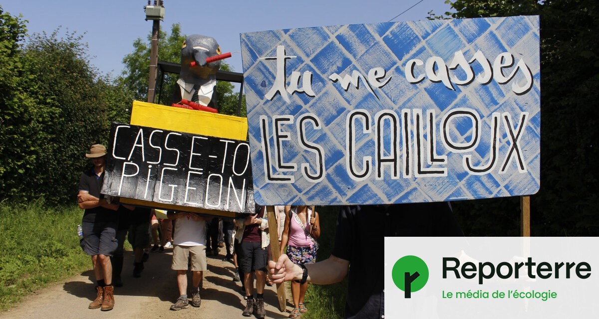 Occupations, balades naturalistes. Des dizaines d’actions contre le béton partout en France