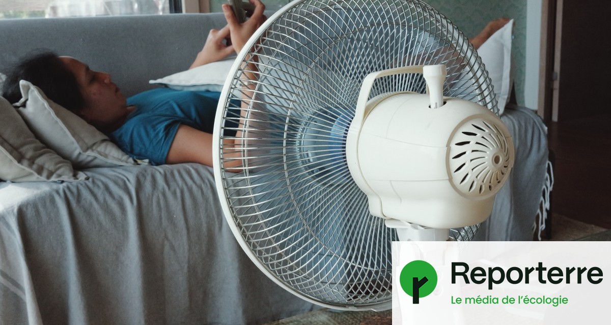 Ventilateur de plafond, rideaux thermiques… Cinq solutions simples et efficaces contre la chaleur