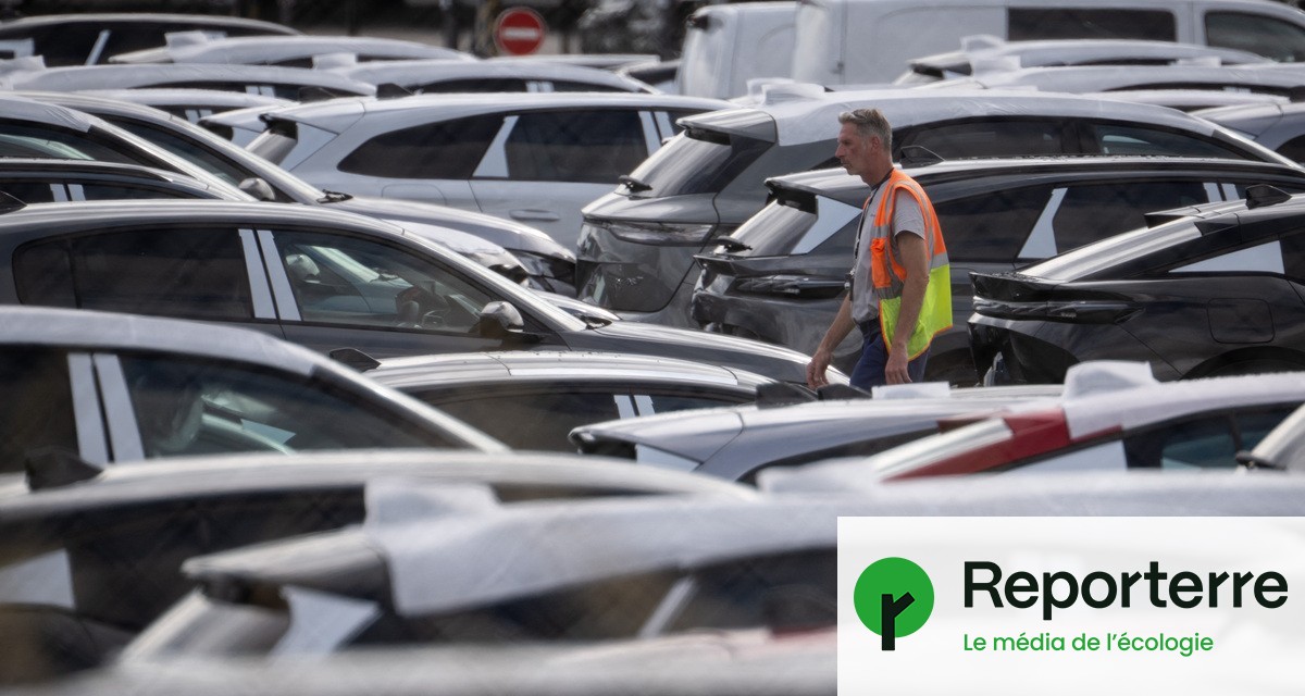 +1,2 cm par an : les SUV grandissent et cannibalisent l’espace public