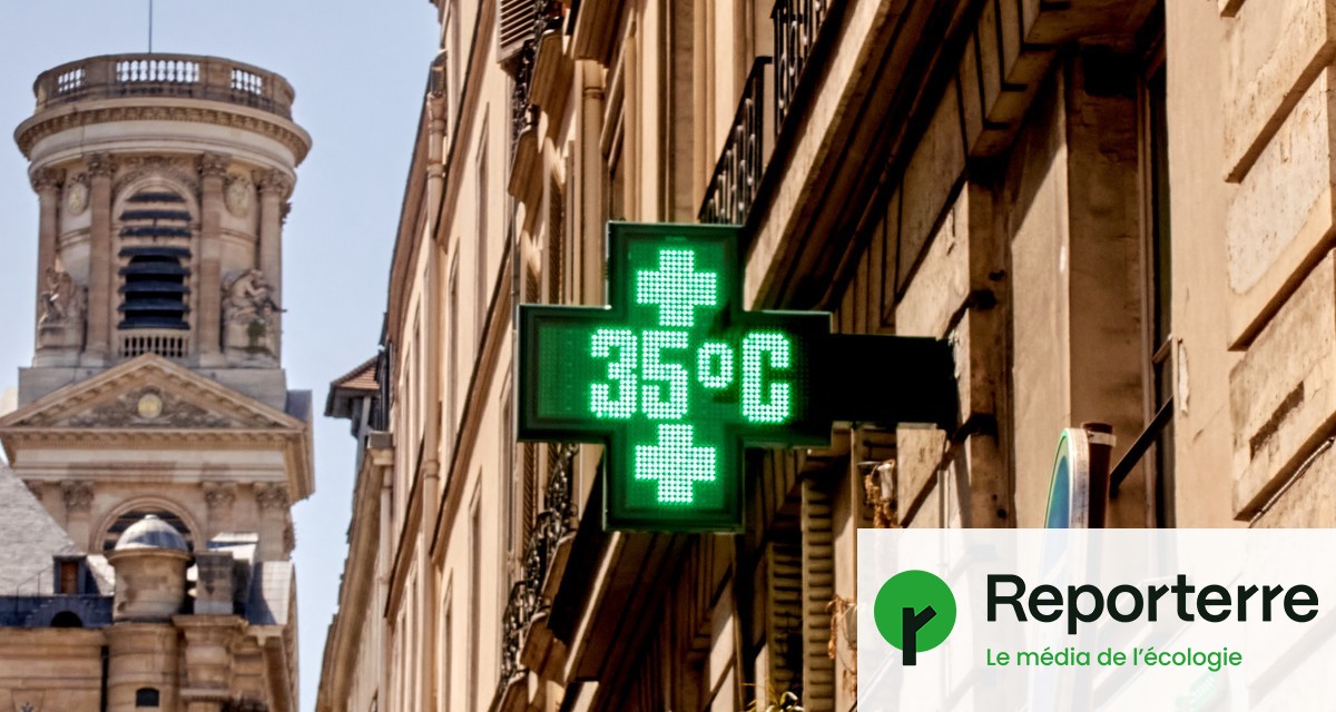 Canicule : la France touchée par un pic de pollution à l'ozone