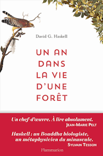 Un an dans la vie d'une forêt