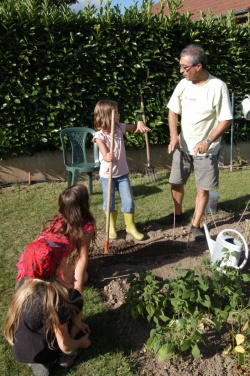 Un jardin où les enfants des villes cultivent carottes et tomates
