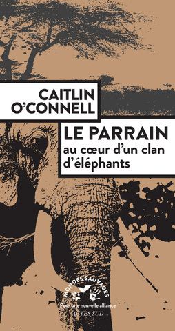 Vingt ans dans la vie d'un clan d'éléphants