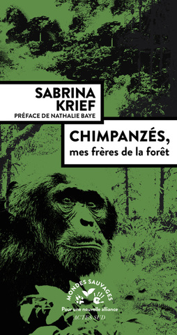 Sur les traces des chimpanzé d'Ouganda