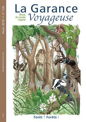 Un magazine spécial forêts : de l'Amazonie aux Pyrénées, du Moyen-Âge à nos jours...