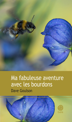 Une relation affectueuse avec les bourdons