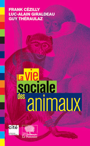 Les animaux ont eux aussi une vie sociale bien remplie