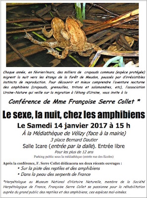 Le sexe, la nuit, chez les amphibiens, conférence à Vélizy (Yvelines)