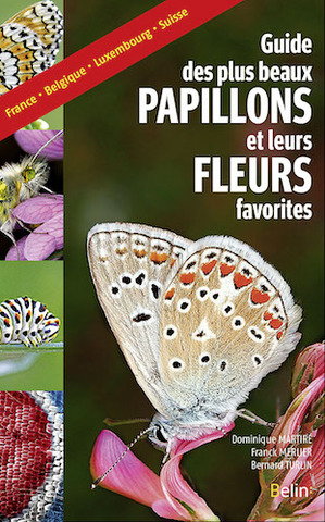Un guide pour connaître les papillons et leurs habitudes