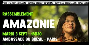 Rassemblement pour l'Amazonie, à Paris
