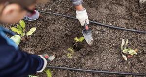 L'écologie urbaine, conférence à Savigny-sur-Orge (Essonne)