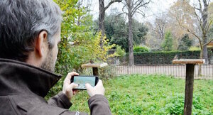 Comptage national des oiseaux des jardins