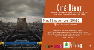 «<small class="fine d-inline"> </small>Ikea seigneur des forêts<small class="fine d-inline"> </small>», ciné-débat à Saint-Étienne (Loire)