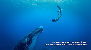24 heures pour les océans, les baleines, les dauphins, à Paris