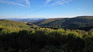 Conférence «<small class="fine d-inline"> </small>Ces arbres qui cachent la forêt<small class="fine d-inline"> </small>», à Dijon