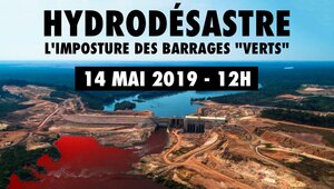 Hydrodésastre : l'imposture des barrages «<small class="fine d-inline"> </small>verts<small class="fine d-inline"> </small>», mobilisation à La Défense (Hauts-de-Seine)