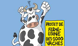 Rassemblement contre la ferme-usine des 1000 vaches laitières, à Vernon (Eure)