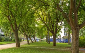 Faire de l'arbre à Paris un allié face à l'urgence climatique, conférence-débat à Paris
