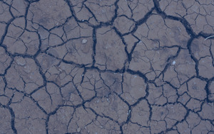Eau et sols : enjeux cruciaux des négociations internationales<small class="fine d-inline"> </small>? à Paris