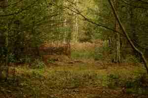 Aux arbres citoyens<small class="fine d-inline"> </small>! veillées des arbres contre le projet <span class="caps">GCO</span>, à Kolbsheim (Bas-Rhin)
