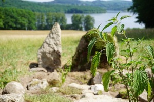 Habiter-Être habité.e : rencontres à Monts de Blond et Eymoutiers (Nouvelle-Aquitaine)