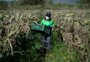 «<small class="fine d-inline"> </small>Agriculture, alimentation et pandémie<small class="fine d-inline"> </small>», débat à Grande-Synthe (Nord)