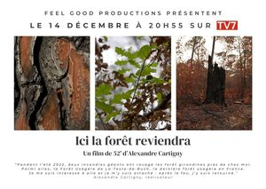 «<small class="fine d-inline"> </small>Ici la forêt reviendra<small class="fine d-inline"> </small>», documentaire à Bordeaux (Gironde)
