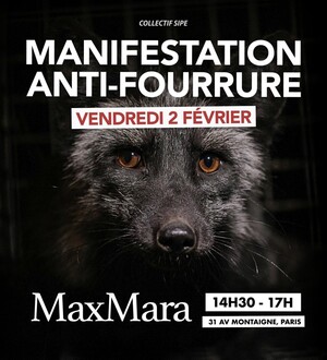 Manifestation contre la fourrure, à Paris