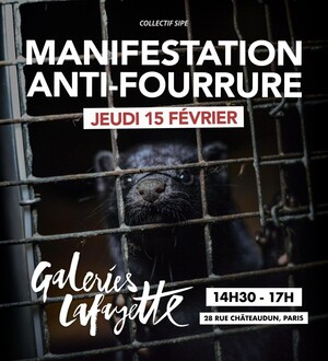 Manifestation internationale antifourrure, à Paris
