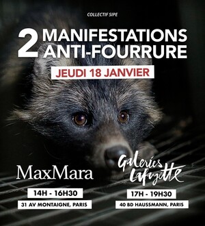 Manifestations anti-fourrure, à Paris