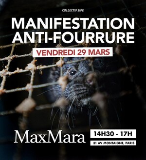 Manifestation contre la fourrure, à Paris