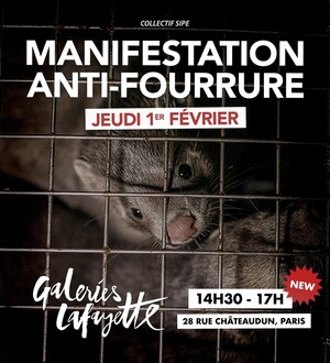 Manifestation contre la fourrure, à Paris