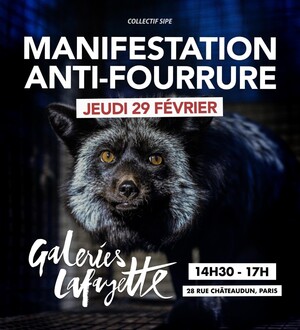 Manifestation internationale antifourrure, à Paris
