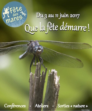 La Fête des mares, partout en France