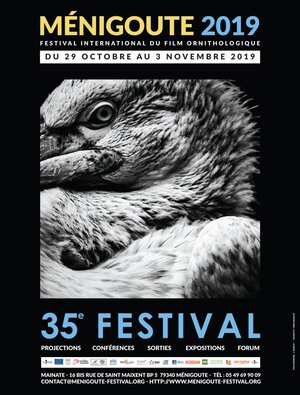 35<sup class="typo_exposants">e</sup> Festival international du film ornithologique, à Ménigoute (Deux-Sèvres)