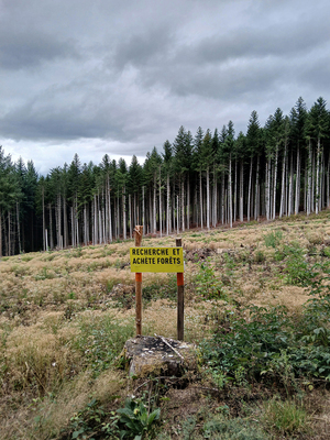 «<small class="fine d-inline"> </small>La forêt, ce bien commun<small class="fine d-inline"> </small>», forum à Paris