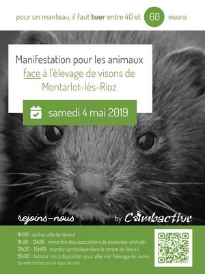 Fourrure : grande manifestation unitaire face à l'élevage de visons de Montarlot-lès-Rioz, à Vesoul (Haute-Saône)