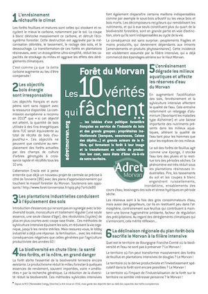 Déambulation revendicative, poétique et graphique pour préserver la biodiversité et les forêts de feuillus, à Quarré-les-Tombes (Yonne) 
