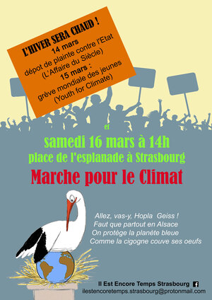 Marche pour le climat, à Strasbourg (Bas-Rhin)