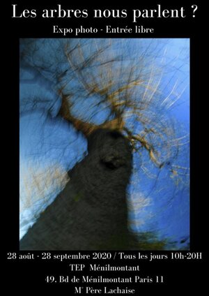 «<small class="fine d-inline"> </small>Les arbres nous parlent<small class="fine d-inline"> </small>?<small class="fine d-inline"> </small>», exposition à Paris