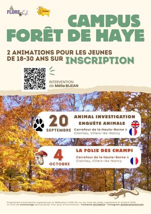 «<small class="fine d-inline"> </small>Enquête animale : animation en forêt pour les 18-30 ans<small class="fine d-inline"> </small>», à Villers-lès-Nancy (Meurthe-et-Moselle)