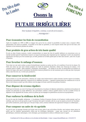 Sortie forestière à la découverte de la sylviculture naturelle, à Hostens (Gironde)