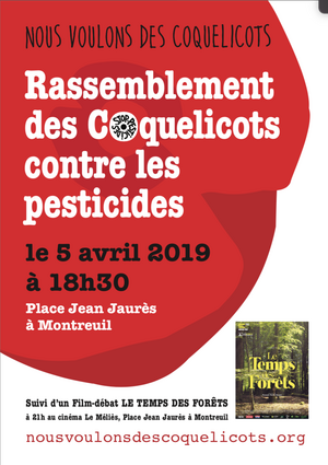 Soirée cinéma autour des arbres, à Montreuil (Seine-Saint-Denis)