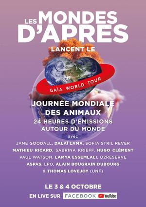Festival Gaia World Tour, en ligne