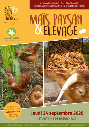 Maïs paysan et élevage, journée de rencontres à Saint-Antoine-de-Breuilh (Dordogne)