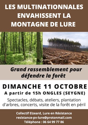 Rassemblement pour défendre la forêt de la montagne de Lure, à Ongles (Alpes-de-Haute-Provence)