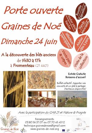 À la découverte des blés anciens, à Fromenteau (Côte-d'Or)