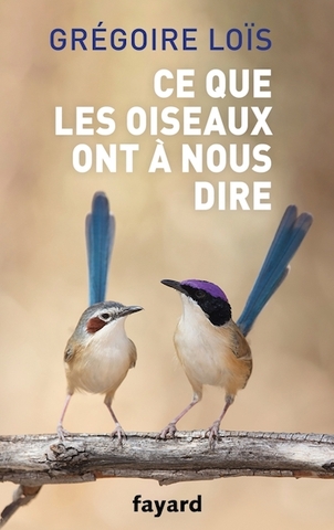À la rencontre des oiseaux du ciel, libres mais menacés