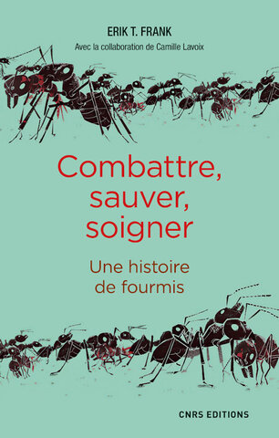 Quand les fourmis se font médecins